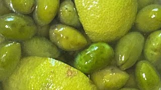 Olives  الطريقة قوبروصية ناجحة في ارقاد الزيتون الأخضر لمودة طويلة 🫒🫒🍃 [upl. by Winn133]