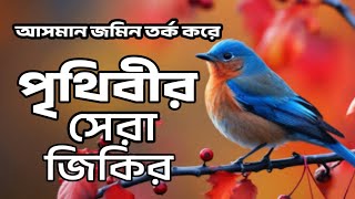 আসমান জমিন তর্ক করে l অতি সুন্দর একটি জিকির NoorEMuhammadgozal [upl. by Patrizius]