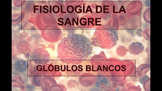 FISIOLOGÍA DE LA SANGRE LEUCOCITOS [upl. by Yleme]