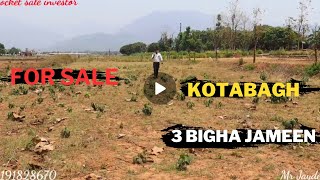 तीन बीघा जमीन बिकाऊ है राम नगर जिम कॉर्बेट के पास कोटा बाग में  land for sale in Uttarakhand [upl. by Trinia698]