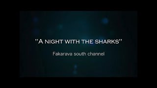 Night Shark Diving Fakarava South Channel [upl. by Priebe]