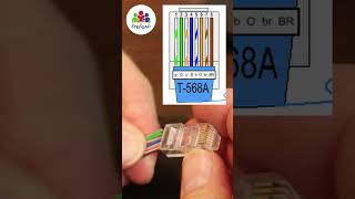 How to Crimp RJ45 Connectors [upl. by Ttenyl]