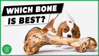 Dog bones Which Are Safe For Dogs  Ultimate Pet Vet [upl. by Achorn]