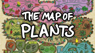 The Surprising Map of Plants [upl. by Allcot983]