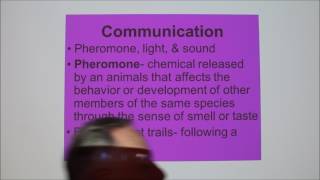 Lecture 10Pheromones and the Vomeronasal Organ [upl. by Allx]