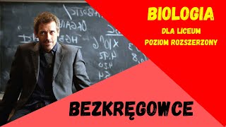 Bezkręgowce Biologia rozszerzona do matury [upl. by Rabbi]