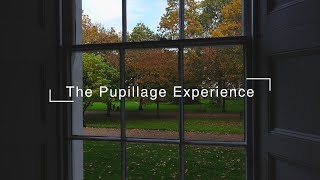 The Pupillage Experience at Atkin Chambers [upl. by Strenta809]