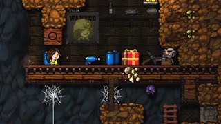 Spelunky  224761 No Teleporter No Gold Any [upl. by Neile941]