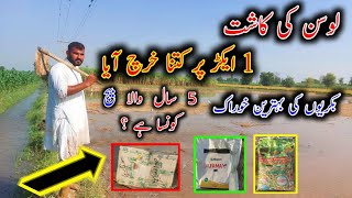 How To Cultivate Alfalfa  Loosan Lgany Ka Triqa  Alfalfa For Goats [upl. by Eugilegna]