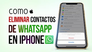 Como eliminar un contacto de Whatsapp en iPhone  [upl. by Aray355]