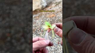 Popper fishing Part 2 🌊💥🐟fishingvideo [upl. by Macguiness801]