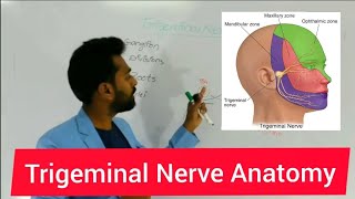 Trigeminal nerve made super easy by Jagadish [upl. by Halyk]