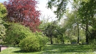 Botanischer Garten in HalleSaale SachsenAnhalt Germany [upl. by Atteyram]