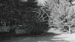 White Pine History Logging in Michigan [upl. by Hurff]