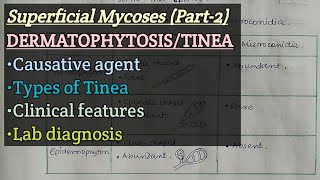 Dermatophytosis  Causative agent  Types of Tinea  Clinical Feature  Lab diagnosis [upl. by Nessa494]