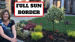 Full Sun Border 🌞 [upl. by Elburt]