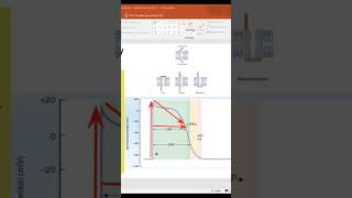 Refractory periods in cardiac muscle Cardiac Cycle l1st Year MBBS youtubeshorts youtube ytshorts [upl. by Nemad]