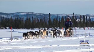 Iditarod favorites check in from Cripple [upl. by Lissner]