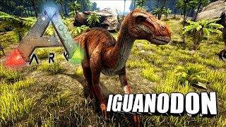 Taming A Iguanodon  Ark Survival Evolved  The Island [upl. by Dicky]