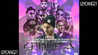 Ginza Remix J Balvin ft Farruko De La Ghetto Arcangel Daddy Yankee Nicky Jam Yandel amp Zion [upl. by Hannon]