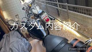 スズキ EN1252A紹介動画 アメリカンカスタムen125 GN125 GZ125あおばのバイク紹介 [upl. by Edson925]