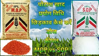 पोटाश खाद की जानकारी ।। Use Dose Price of Potash Fertilizer ।। [upl. by Neelon]