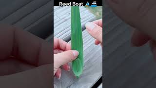 Do you still remember the Reed Boat ⛵ you made when you were a child reed handmade [upl. by Pennington]