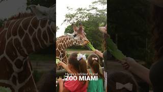 Zoo Miami in 2023 [upl. by Nirad]