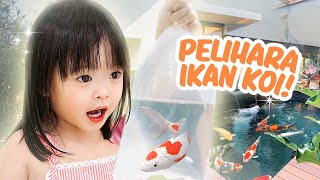 YUKACHAN PELIHARA IKAN HIAS LUCU  vlog [upl. by Rhyner]