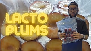 LactoFermented Plums [upl. by Albright]