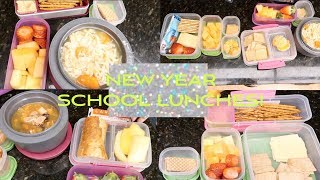 Week of School Lunches [upl. by Egedan882]