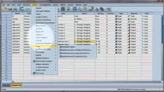 Reliability test Compute Cronbachs alpha using SPSS [upl. by Bradan]