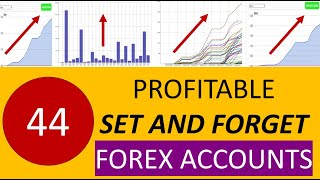 SetandForex Forex Success See the Expert4x Hedged EA results You can easily achieve them too [upl. by Naud]