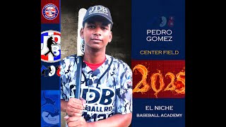 Pedro Gomez OF 2025 Class From El Niche Baseball Academy Date video 06062023 AT BAT [upl. by Neu]