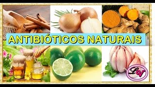 🔴Antibióticos Naturais para Combater Infecções [upl. by Lirva]