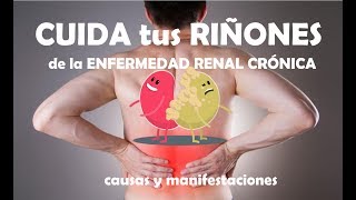 Enfermedad Renal Crónica  Causas y síntomas [upl. by Cavallaro]