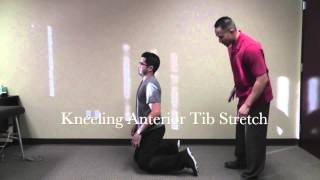 Stretches Shins Anterior Tibialis [upl. by Sauder]