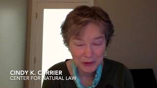 Statement 2 amp 3 Cindy Kay Currier  Natural Law Handbook [upl. by Feld642]