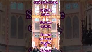 Alma Redeptoris Mater Lyrics [upl. by Ahsinor]