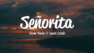 Shawn Mendes Camila Cabello  Señorita Lyrics [upl. by Nuj421]