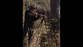 Ideal für die Bockjagd 🦌 🌲 steyr steyrarms jagd jäger hunter hunting gewehr waidmannsheil [upl. by Spiegelman974]