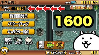 【にゃんこ大戦争】ユーザーランク1600になりました。【EXキャラ】のレベル上限解放（最大Ｌv30） [upl. by Esch]