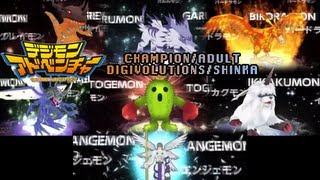 Digimon Adventure PSP  All ChampionAdult DigivolvesShinka [upl. by Padgett]