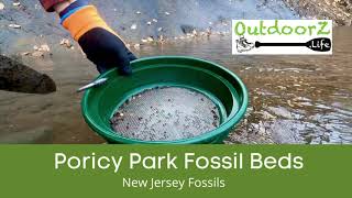 Poricy Park Fossil Beds 🦖 New Jersey Fossils [upl. by Nair]