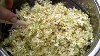 HOW TO MAKE REAL ENGLISH ELDERFLOWER CORDIAL By The Backyard Vegan [upl. by Fillbert]