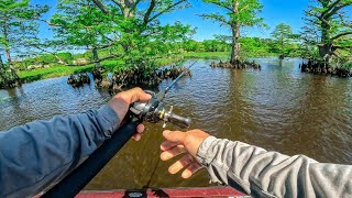 Most Important Tournament of the year Fishing The Chickahominy River [upl. by Ranna]