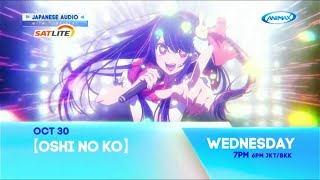 Animax Asia  October 2024 Highlights [upl. by Ahsiekat]