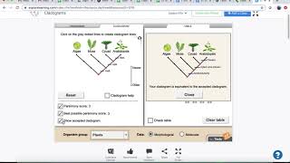 Cladogram Gizmo Tutorial [upl. by Crichton]