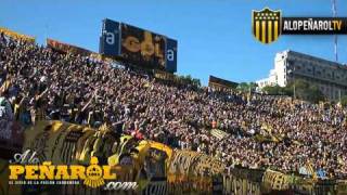 Porque yo soy de Peñarol  Barra Amsterdam vs Cerrito  ALOPEÑAROLCOM [upl. by Elstan636]