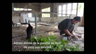 HelpX Wwoofing dans une ferme permaculture en Malaisie [upl. by Comyns]